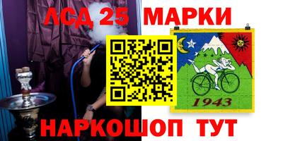 эйфоретик Кимры