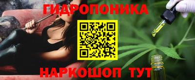 герыч Кингисепп