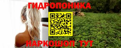 эйфоретик Кимры