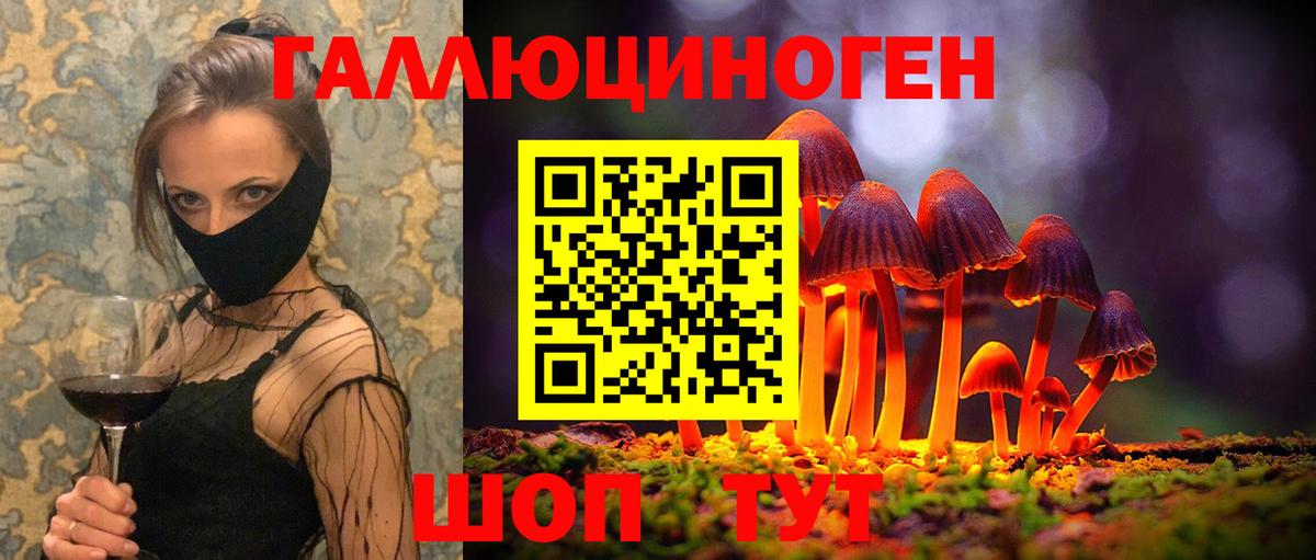 Кудымкар  Галлюциногенные грибы мицелий  Псилоцибиновые грибы Psilocybe  Вход с VPN 